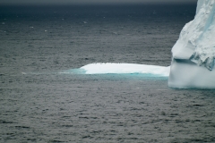 2015 Elephant Island Antartica