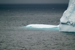 2015 Elephant Island Antartica