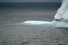 2015 Elephant Island Antartica