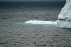 2015 Elephant Island Antartica