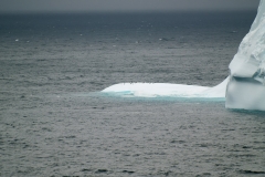 2015 Elephant Island Antartica