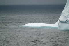 2015 Elephant Island Antartica