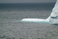 2015 Elephant Island Antartica