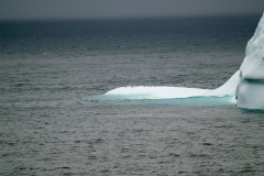 2015 Elephant Island Antartica