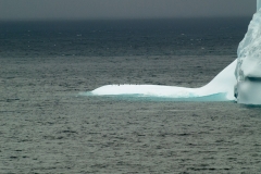 2015 Elephant Island Antartica