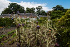 2015 Walmer Castle and Gardens England