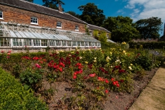 2015 Walmer Castle and Gardens England