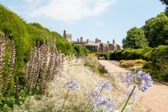 2015 Walmer Castle and Gardens England