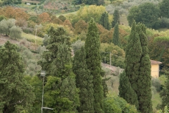 Florence