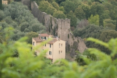Florence