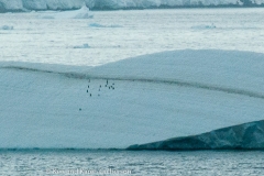 Gerlache Strait