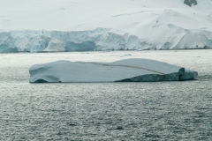 2015 Gelache Strait Antartica