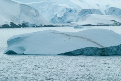 2015 Gelache Strait Antartica