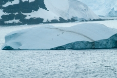 2015 Gelache Strait Antartica