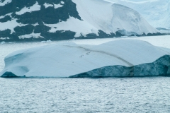2015 Gelache Strait Antartica