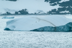 Gerlache Strait