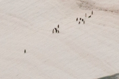 Gerlache Strait