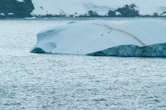 2015 Gelache Strait Antartica