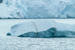 2015 Gelache Strait Antartica