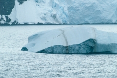 2015 Gelache Strait Antartica