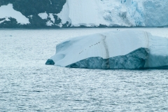 2015 Gelache Strait Antartica