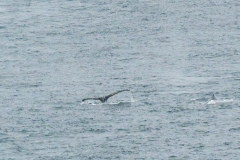 Gerlache Strait