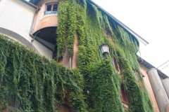 2015-10 Historic Rome