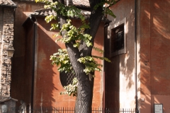 2015-10 Historic Rome