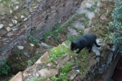 2015-10 Historic Rome