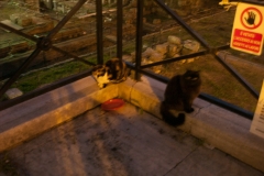 2015-10 Historic Rome