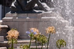 Buenos Aires