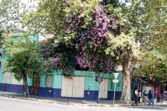 Buenos Aires