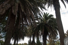 2015 Montevideo Uruguay