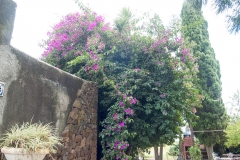 2015 Montevideo Uruguay