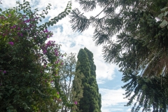 2015 Montevideo Uruguay