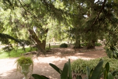 2015 Montevideo Uruguay