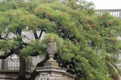 2015 Montevideo Uruguay