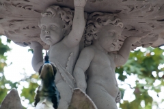 2015 Montevideo Uruguay