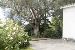 2015 Montevideo Uruguay