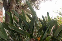 2015 Montevideo Uruguay