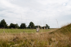 2015 Avebury Henge England