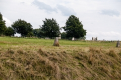 2015 Avebury Henge England