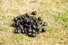 2015 Stonehenge England