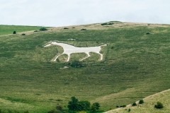 2015 Chalk Horse England