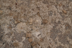 Ostia Antica