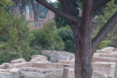Ostia Antica