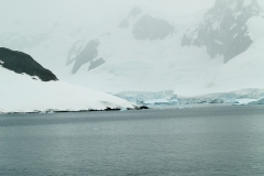 2015 Paridise Bay Antartica