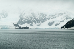 2015 Paridise Bay Antartica