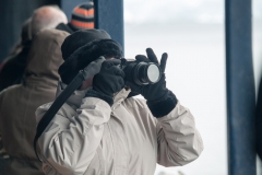 2015 Paridise Bay Antartica