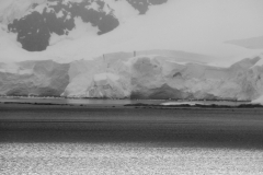 2015 Paridise Bay Antartica